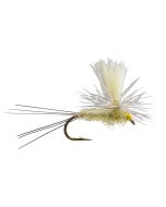 Parachute PMD Dry Fly - 6 Pack