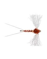 Spinner Rusty Dry Fly - 6 Pack