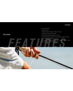 Sage Fly Fishing Payload Fly Rod