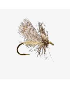Spent Partridge Spruce Dry Fly - 6 Pack