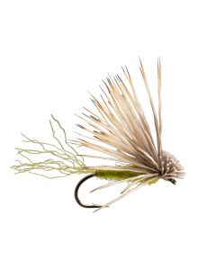 X-Caddis Dry Fly - 6 Pack