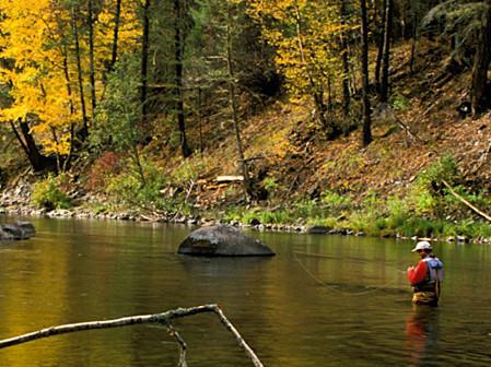 Rock Creek Fishing Report - 11/17