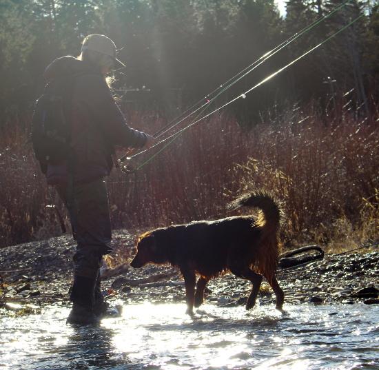 Blackfoot Fishing Report - 4/25