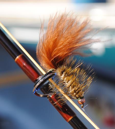Clark Fork Fishing Report - 9/19