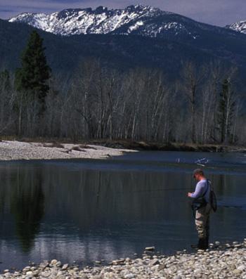 Blackfoot River Fishing Report - 3/15