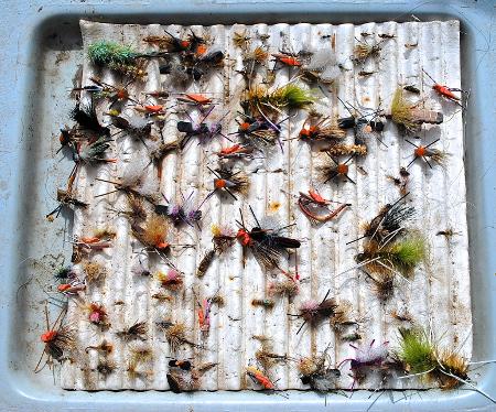 Guides Fly Box - June