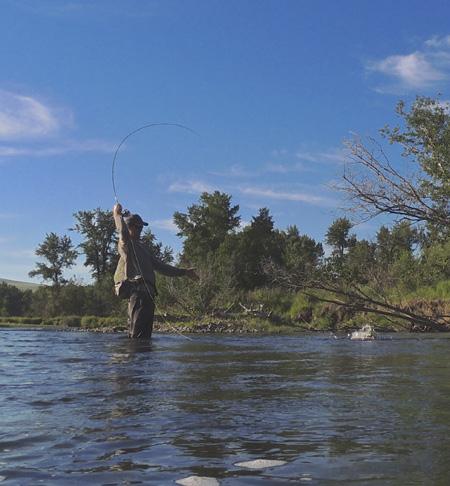 Blackfoot River Fishing Report - 4/25