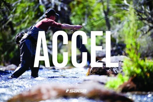 A review of the Sage Accel Spey Rod