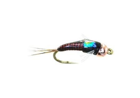 Top Tailwater Nymph Patterns For Montana