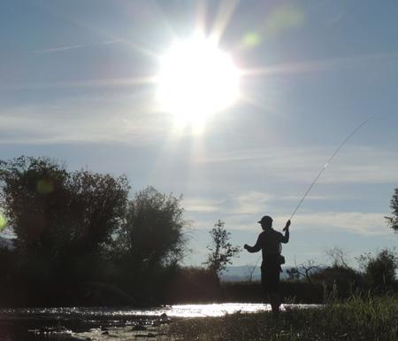 Clark Fork River Fishing Report - 3/27